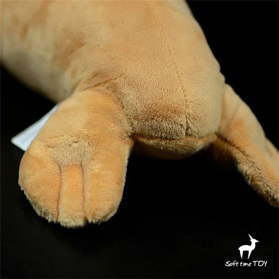 Walrus High Fidelity Elephant Seal Plushie Morse Plush Toys Lifelike Animals Simulation Stuffed Doll Kawai Toy Gifts