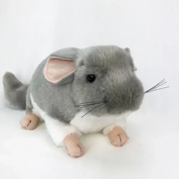 Chinchillas Plush – The Cutest Furry Companion