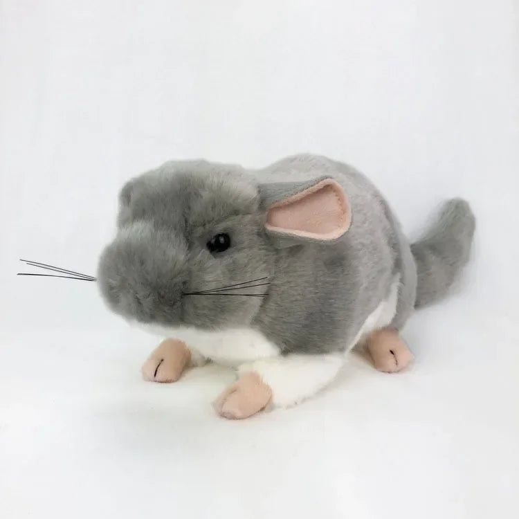 Chinchillas Plush – The Cutest Furry Companion