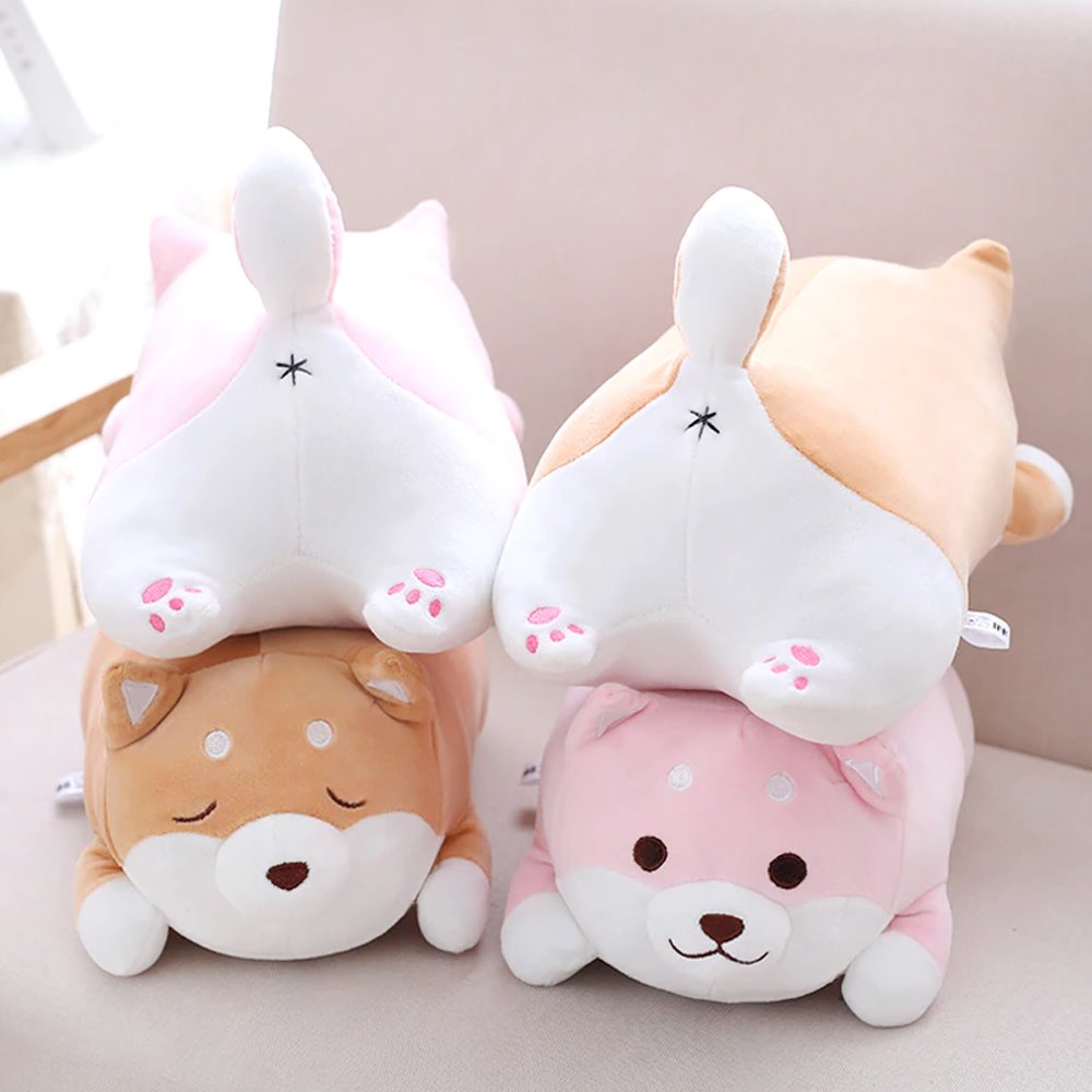 Chubby Shiba Inu