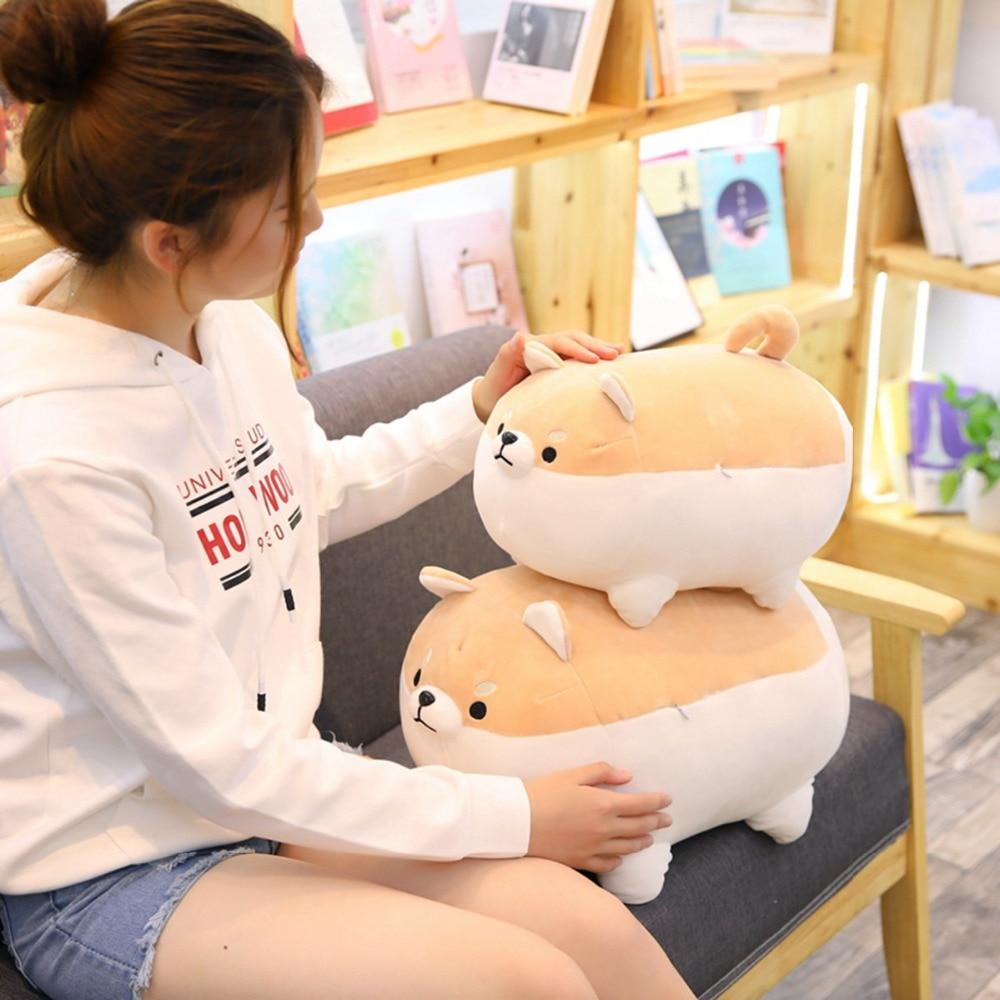 The Angry Shiba Trio Plushies