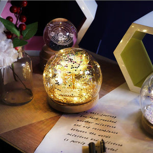 LED galaxy rose dome gift; preserved red rose in glass dome with warm LED lights & wooden base. Perfect romantic gift.