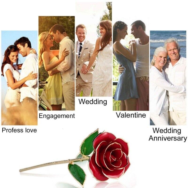 Adorable 24k Gold Dipped Long-Stem Rose | 4 Colors | Gift Box & Stand - Cute rose Toy