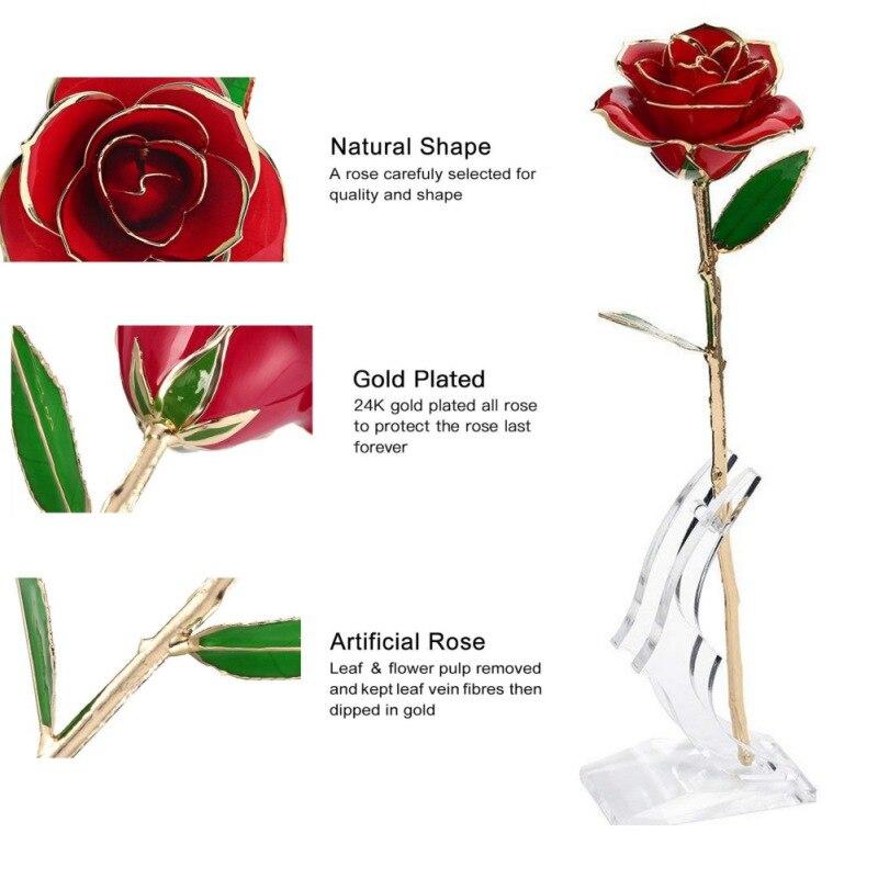 Adorable 24k Gold Dipped Long-Stem Rose | 4 Colors | Gift Box & Stand - Cute rose Toy