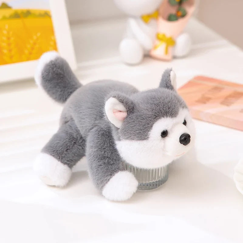 Kawaii Plush Dolls Raccoon Bear Fox Sloth Husky Pig Panda