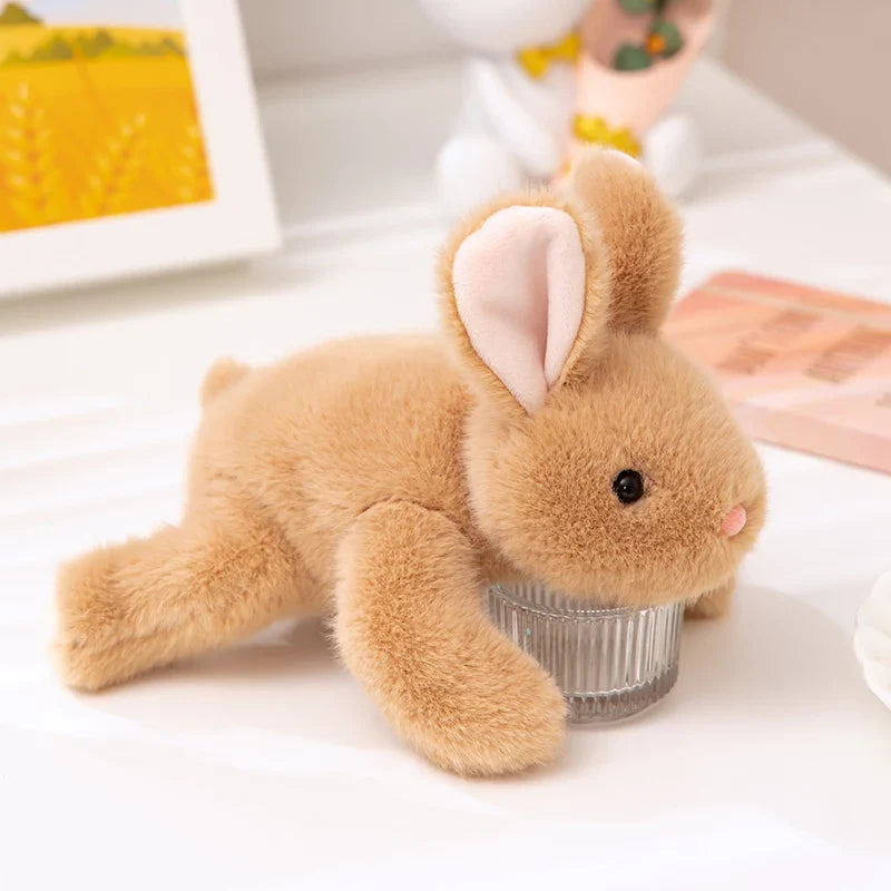 Kawaii Plush Dolls Raccoon Bear Fox Sloth Husky Pig Panda