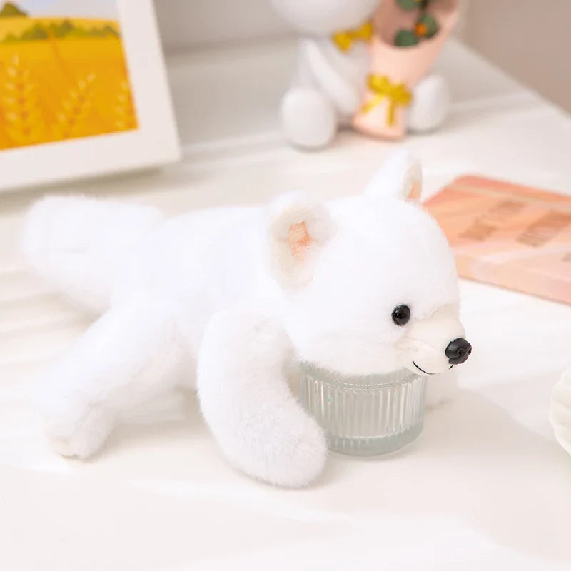 Kawaii Plush Dolls Raccoon Bear Fox Sloth Husky Pig Panda